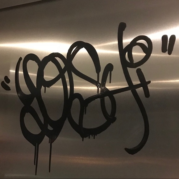 Meet your Posher, Yoshi - Picture 1 of 1